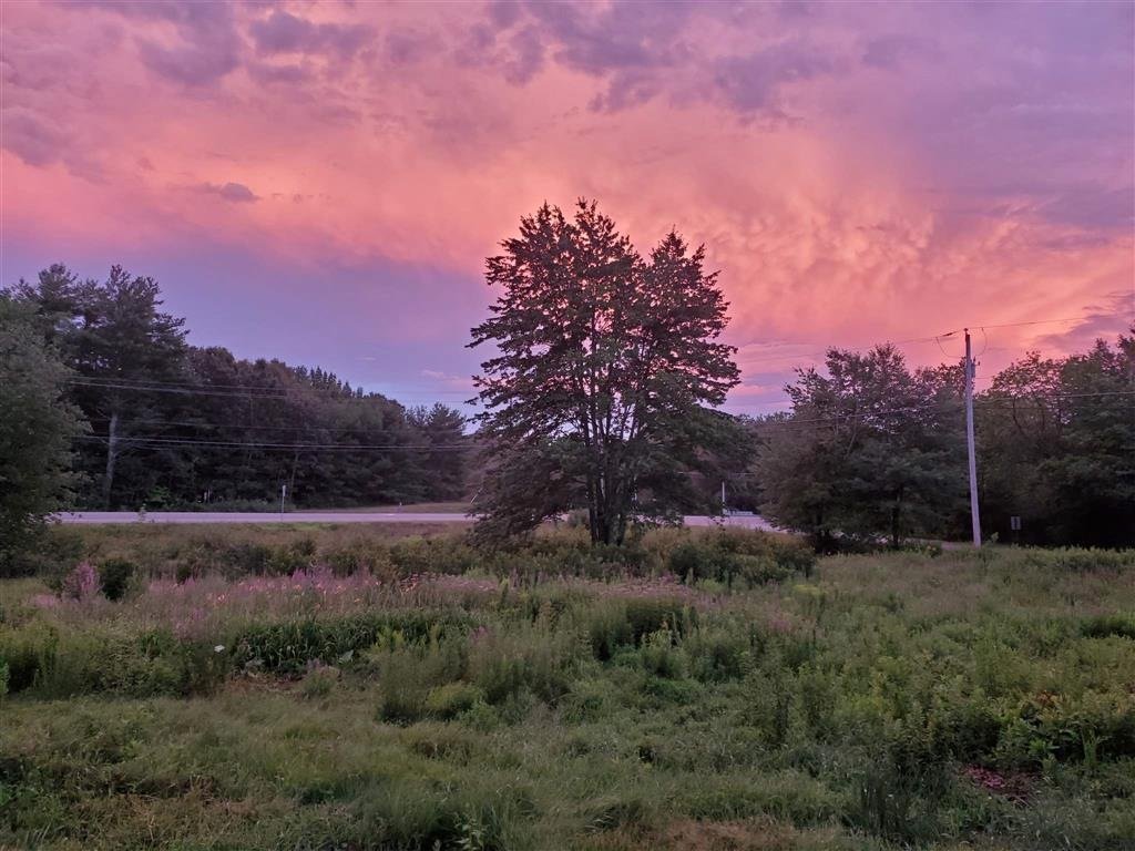 Open field at sunset with trees and a road beyond