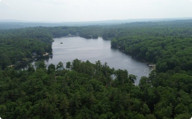 Aerial view of a lake surrounded by forest