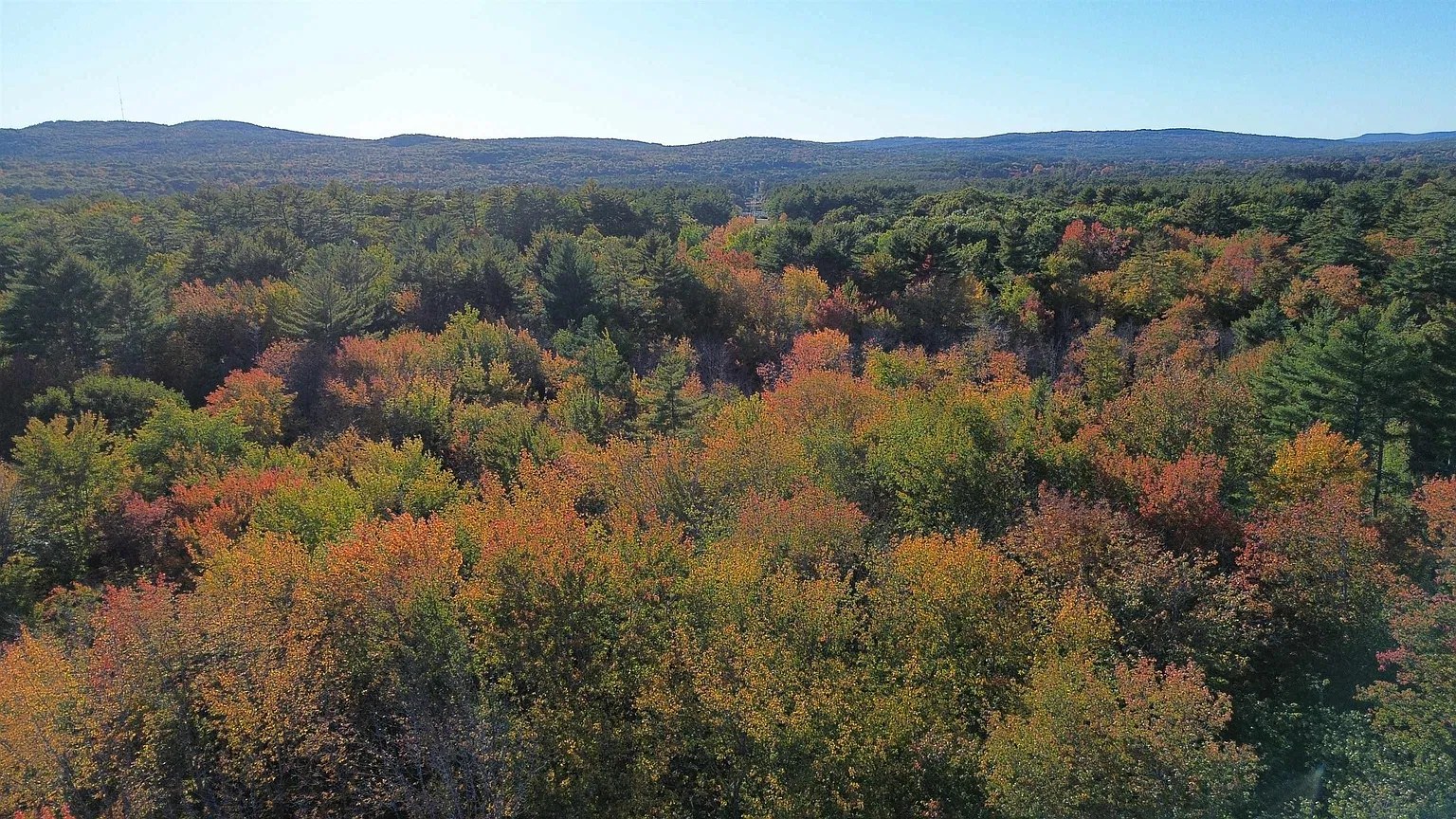 Aerial view of the wooded lot beside the road, with power lines