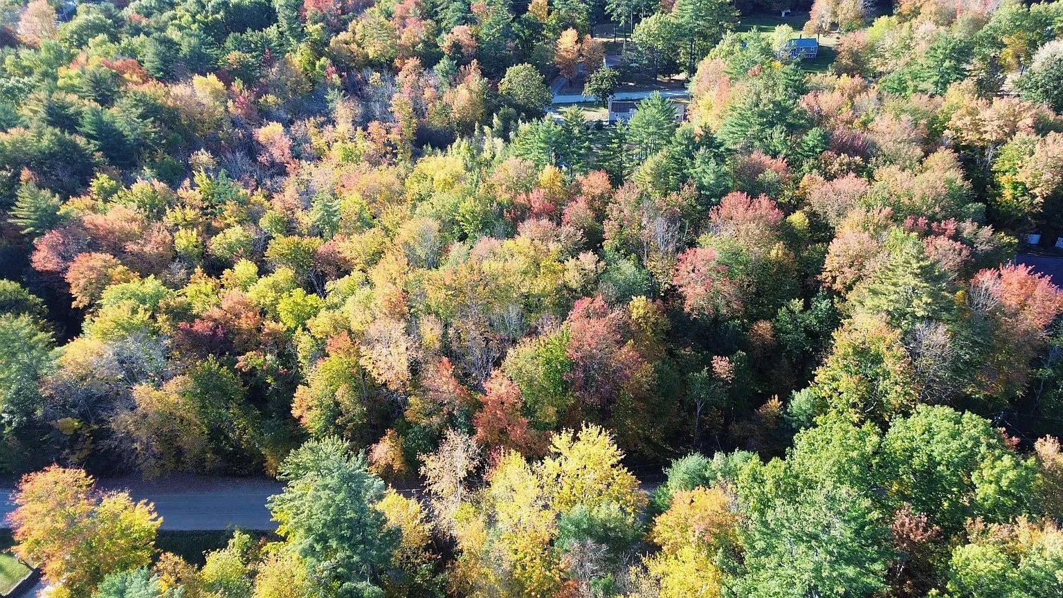 Aerial view looking down on the wooded lot, the road and nearby homes