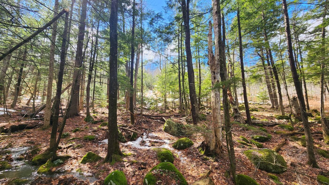 231 Valley Road, New Durham NH