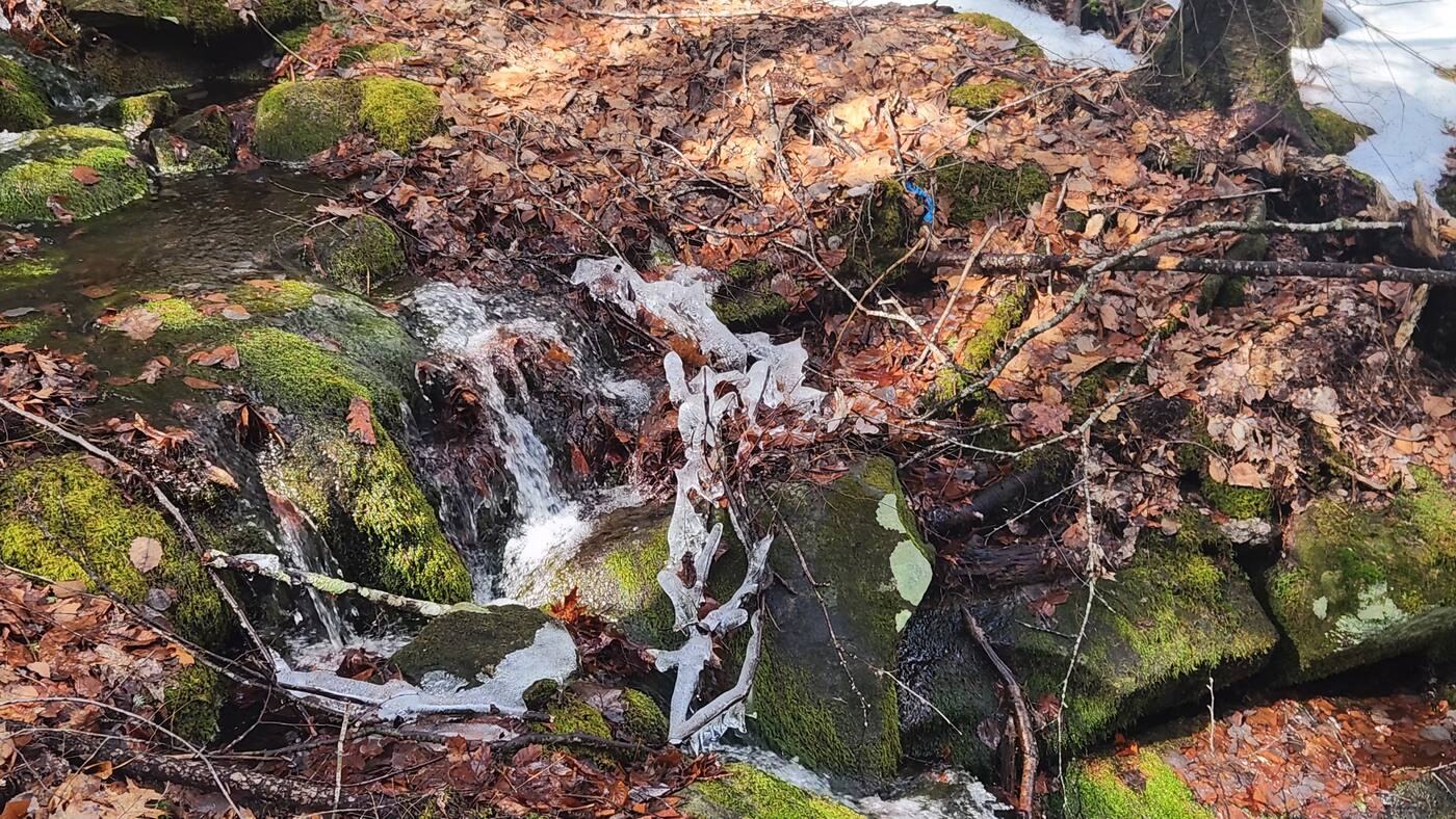 Small waterfall over mossy rocks