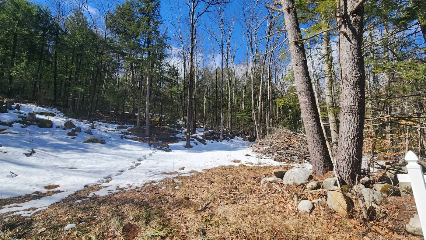 Edge of the cleared area, with stone and trees